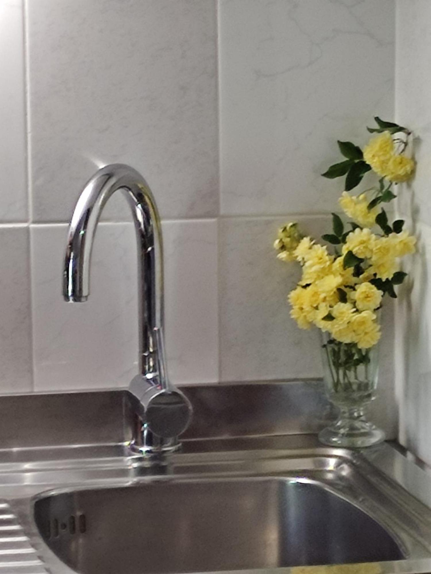 Studio Apartman Bari Buzet Bilik gambar